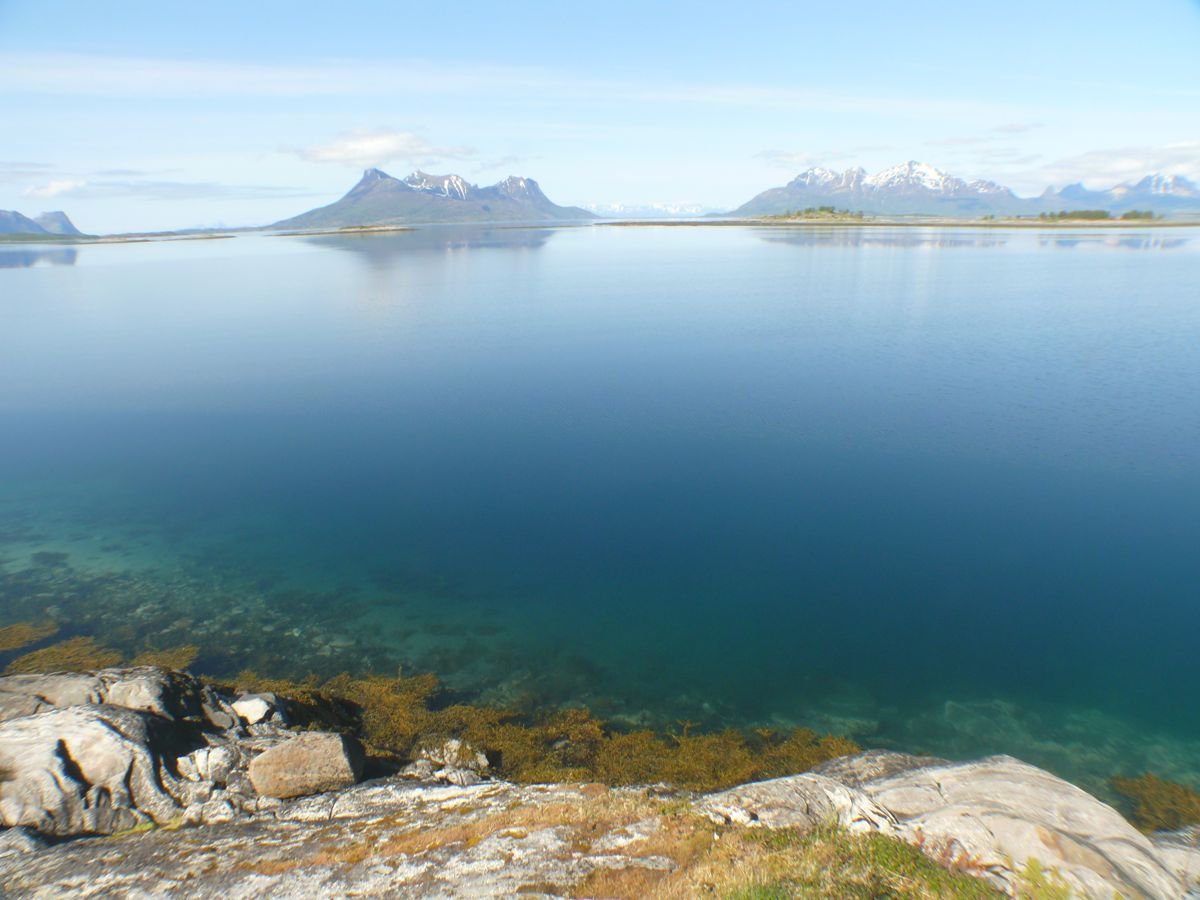 Sommarsetvika Bogøy route 835