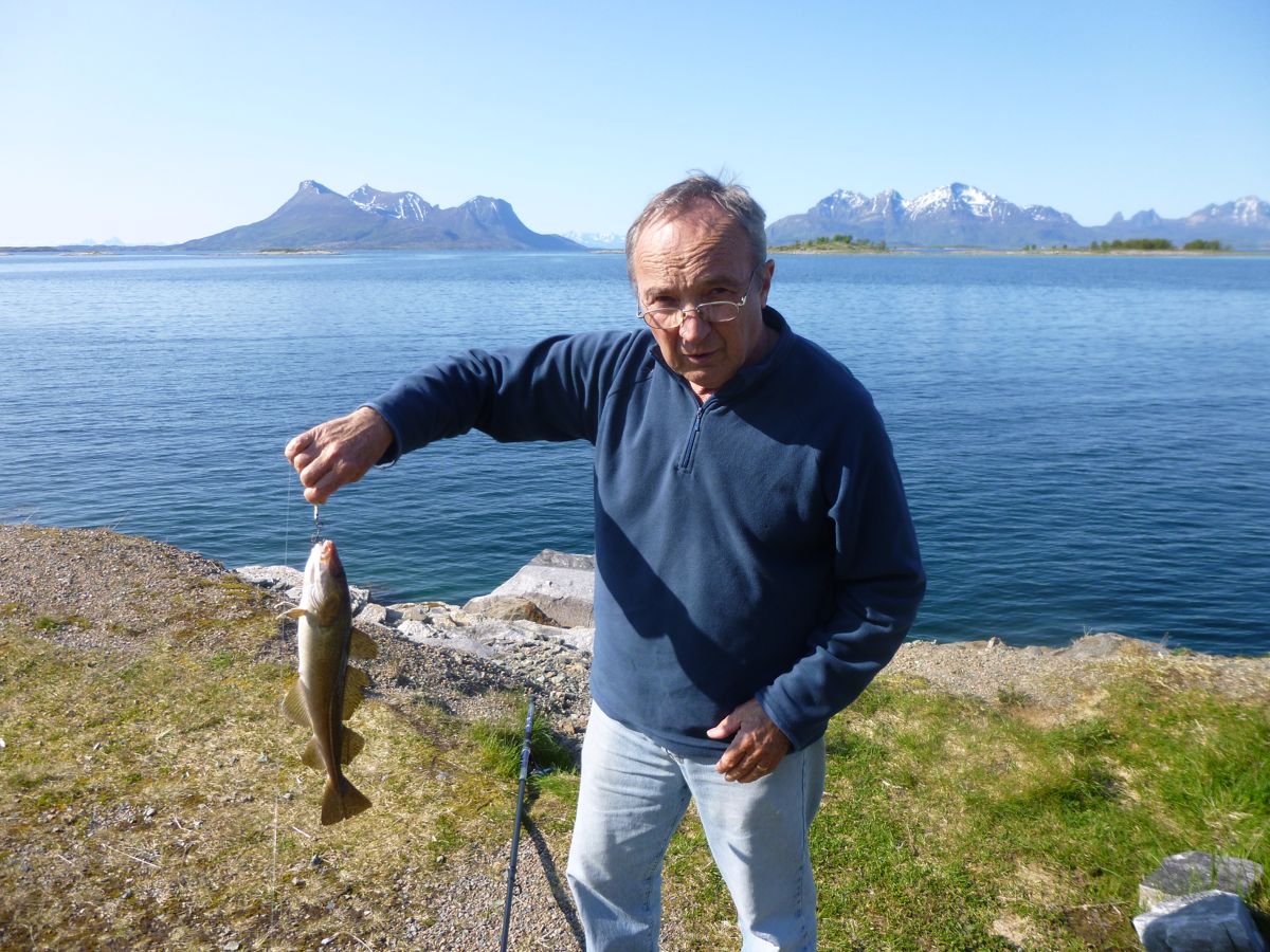 Sommarsetvika Bogøy route 835