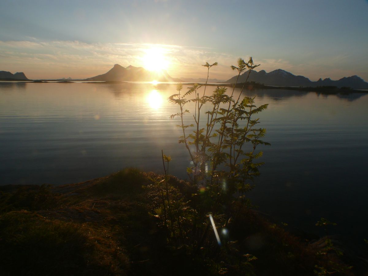 Sommarsetvika Bogøy route 835