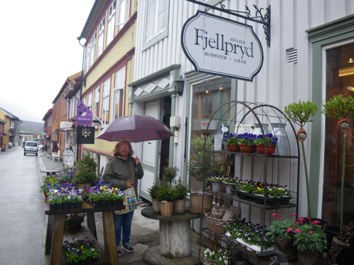 Visite de RØROS