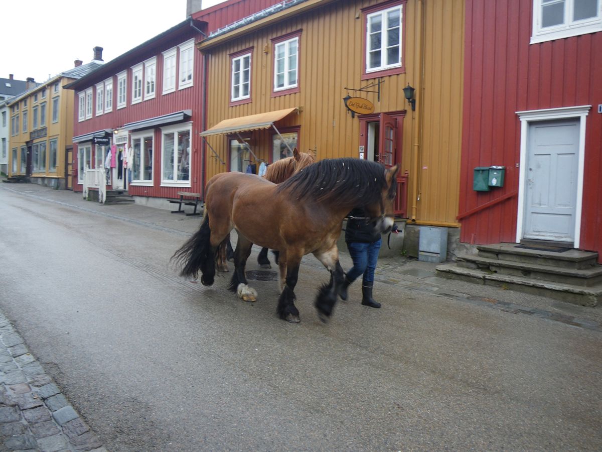 Visite de RØROS