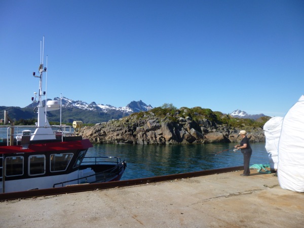 Øksneshavn