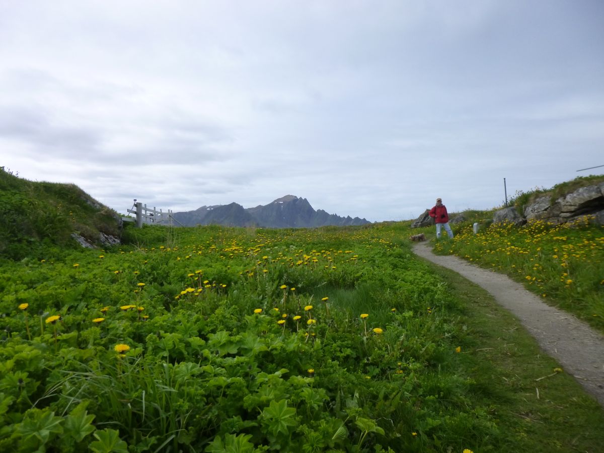 Andenes