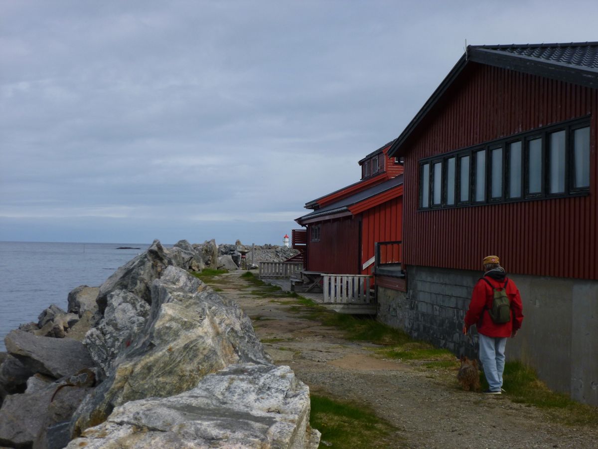 Andenes