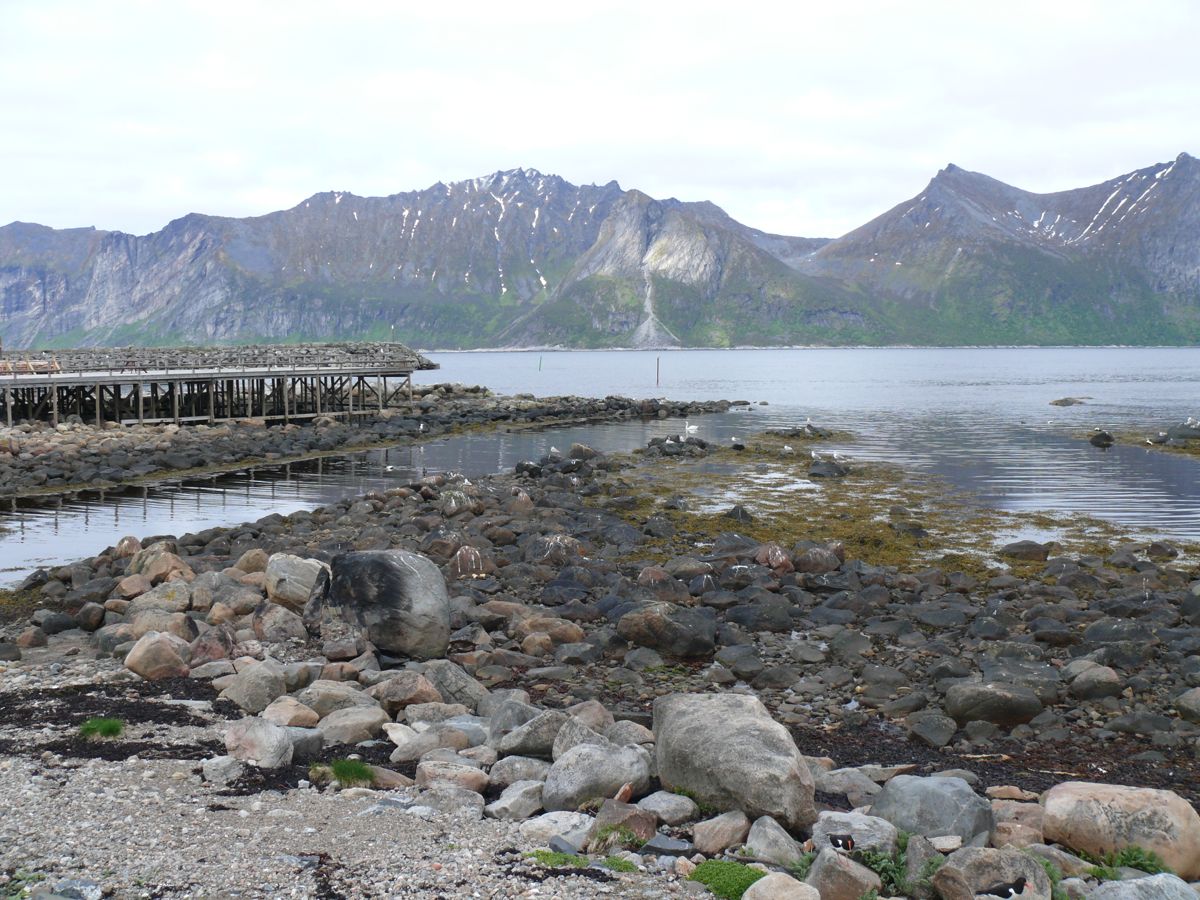 Mefjordvær Senja