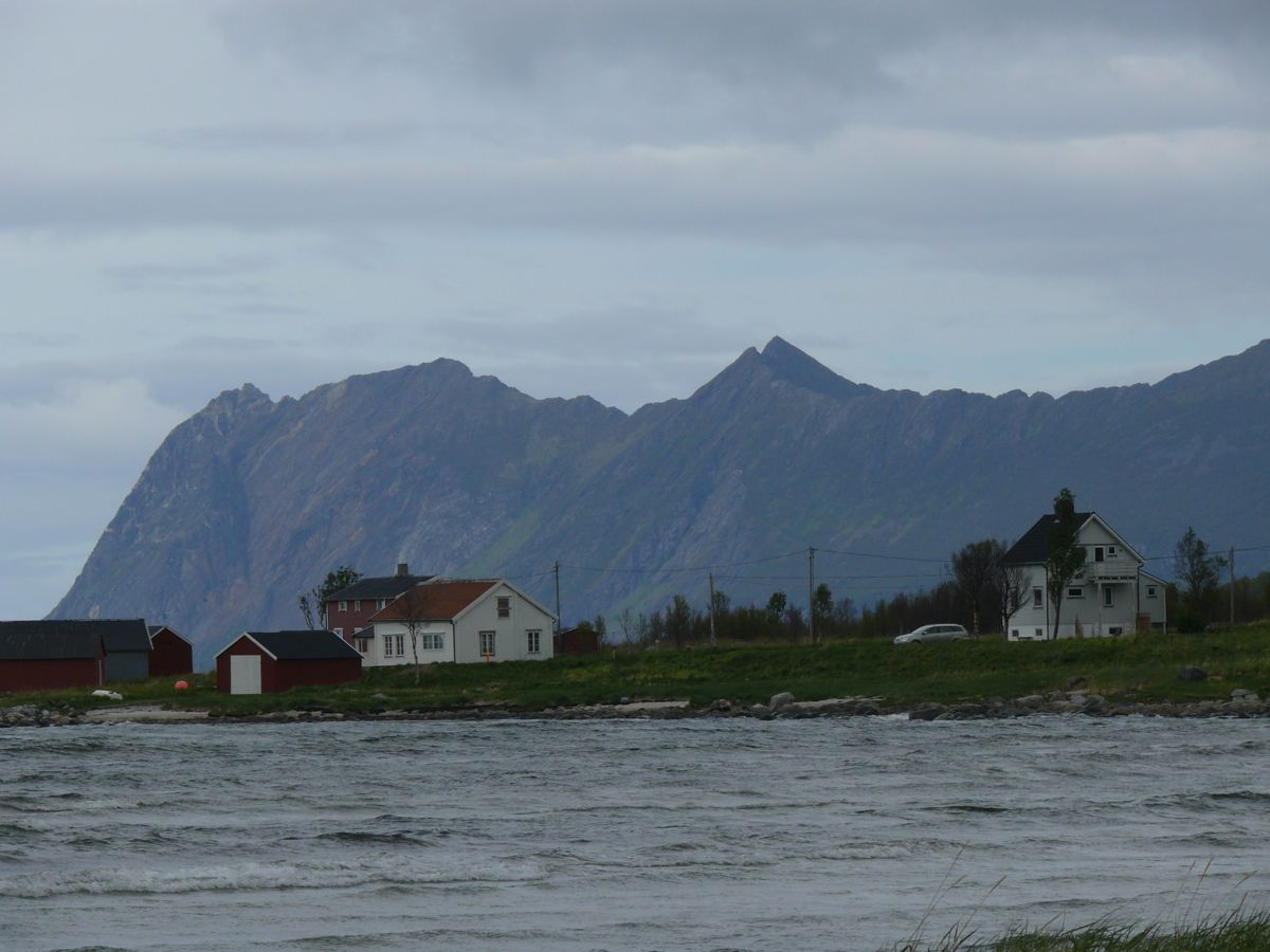 Torsken