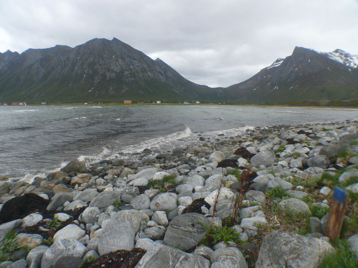 Torsken