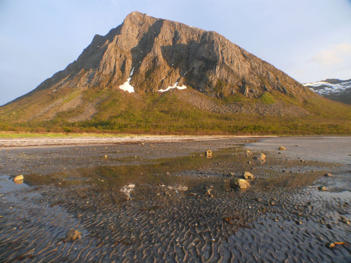 Torsken