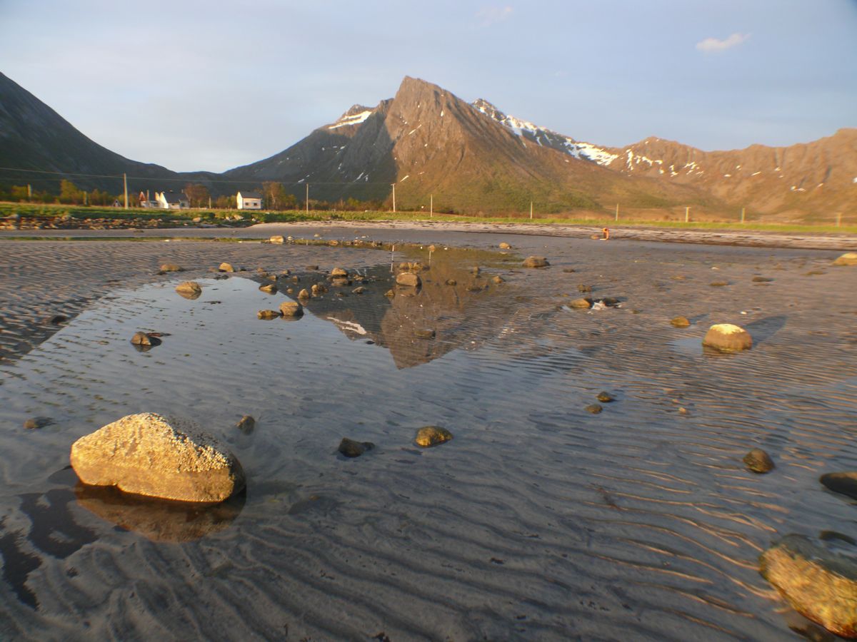 Torsken