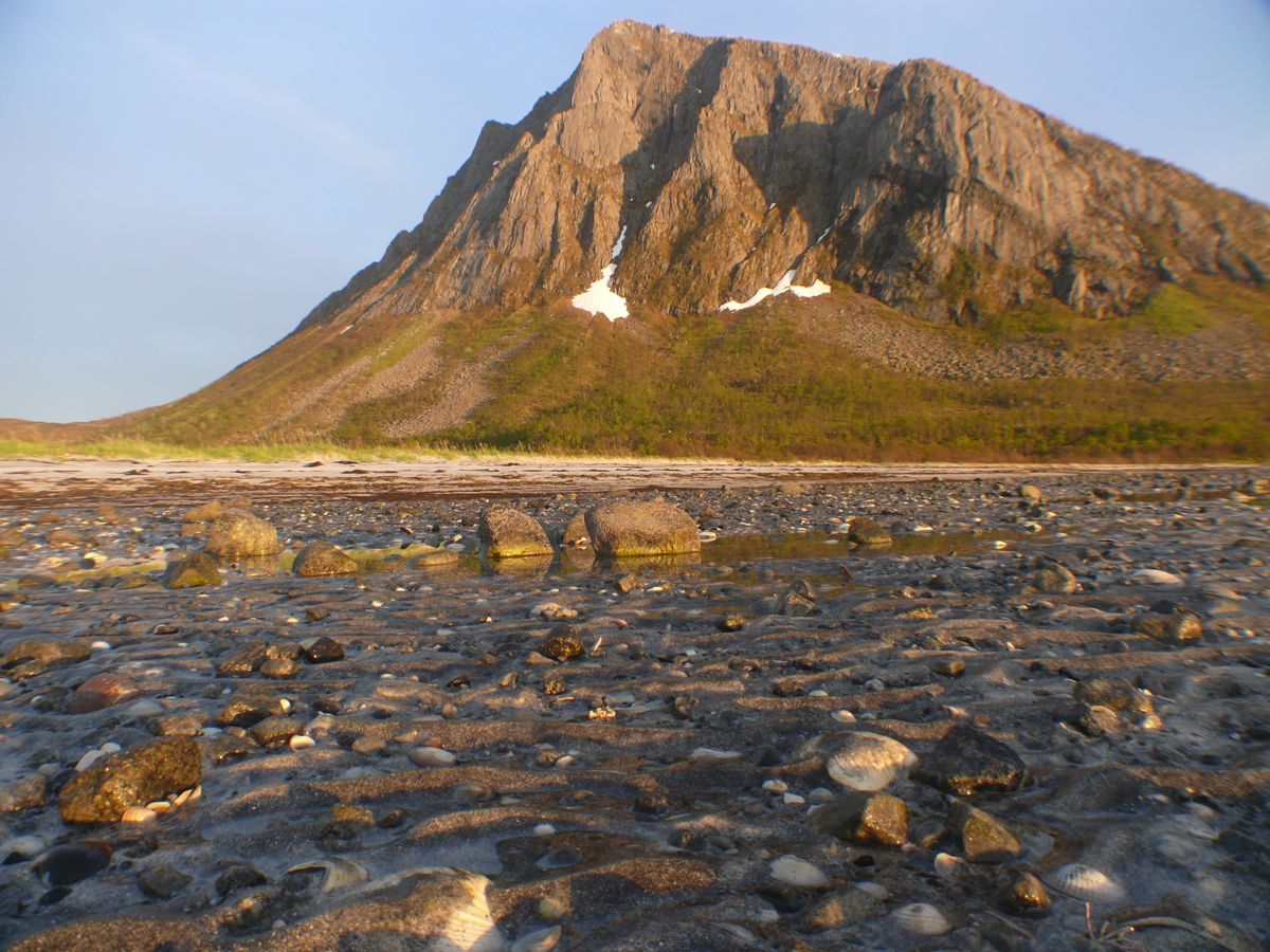 Torsken