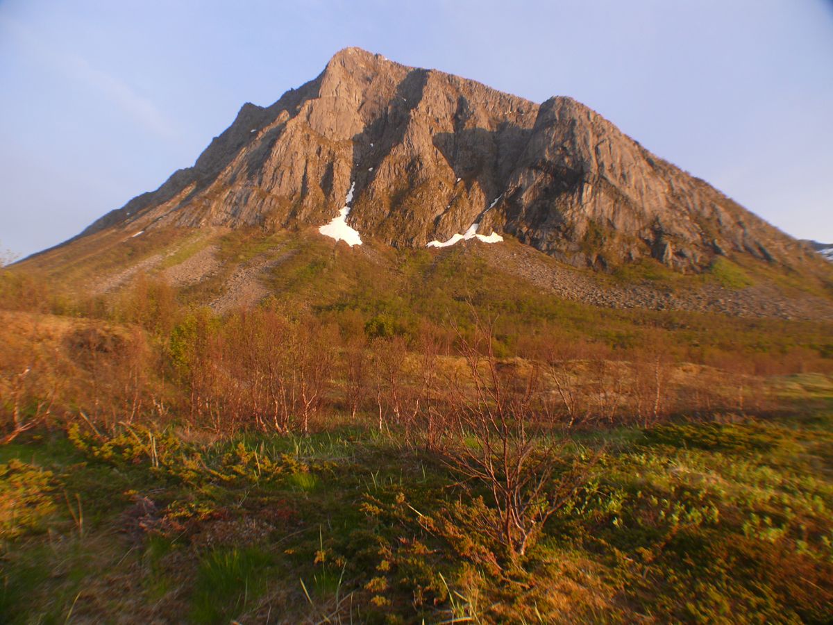 Torsken