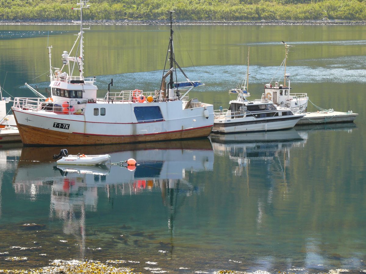 Gryllefjord