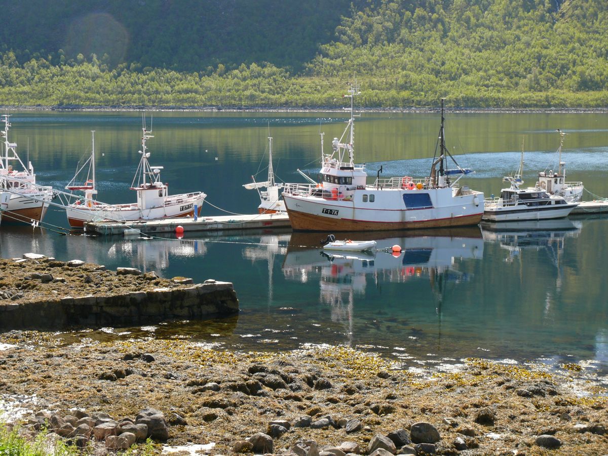 Gryllefjord