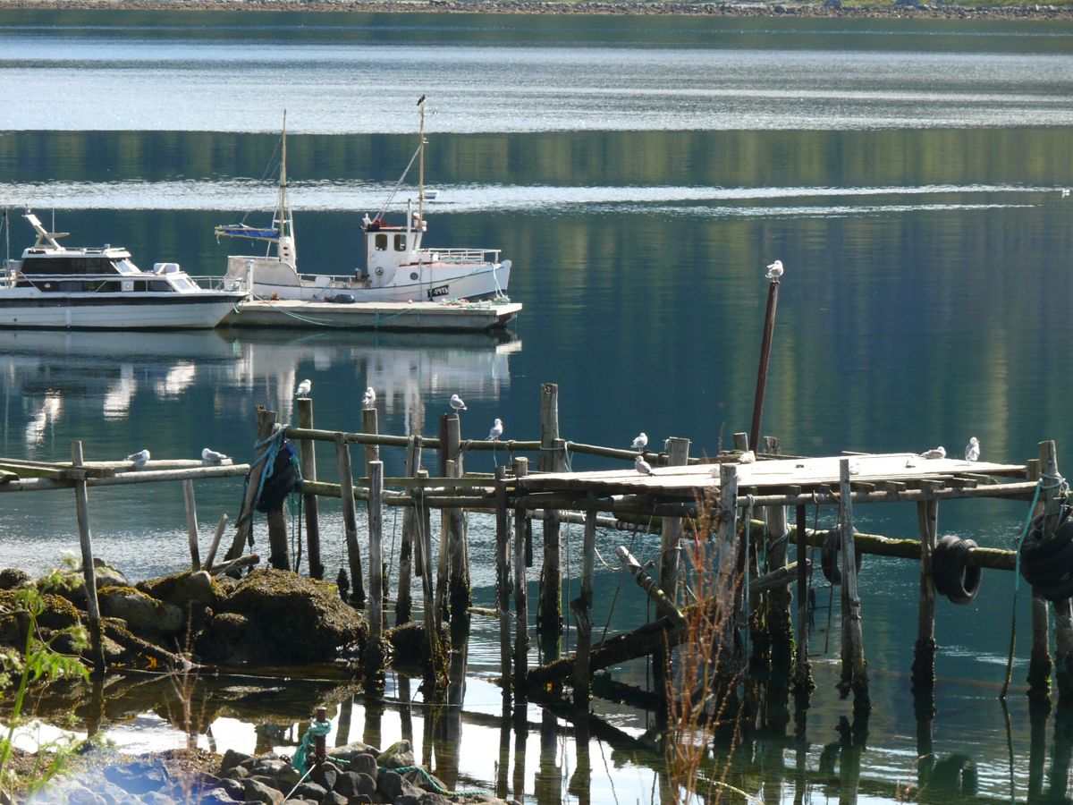 Gryllefjord