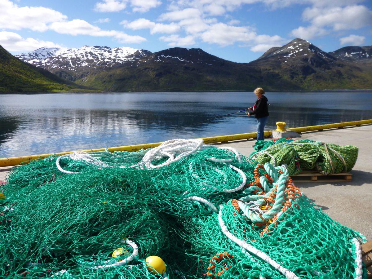 Gryllefjord