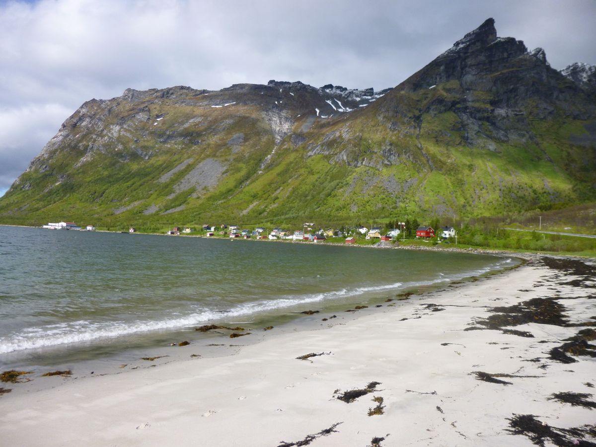 Steinfjord