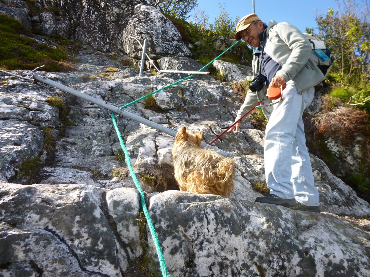 Sommarøy
