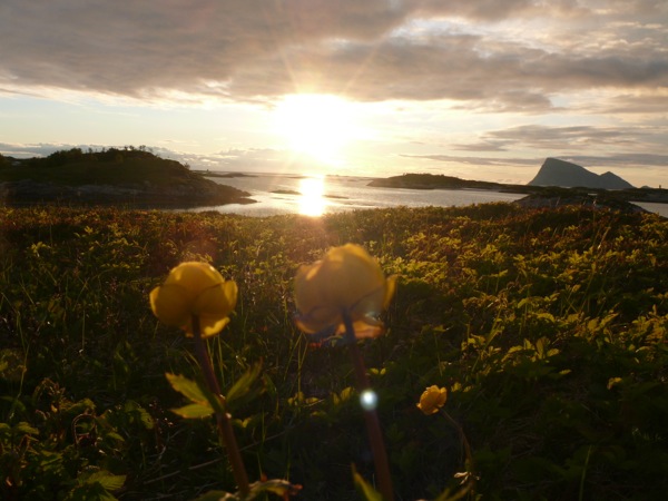 Sommarøy