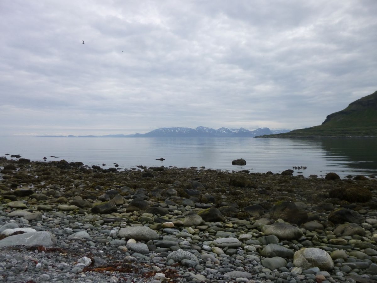 Sur l'île d'Arnoya - 039