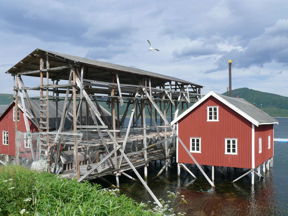 Route 883 - Nyvoll