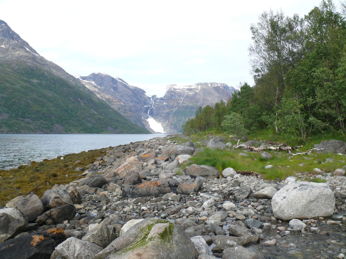 Jokelfjord