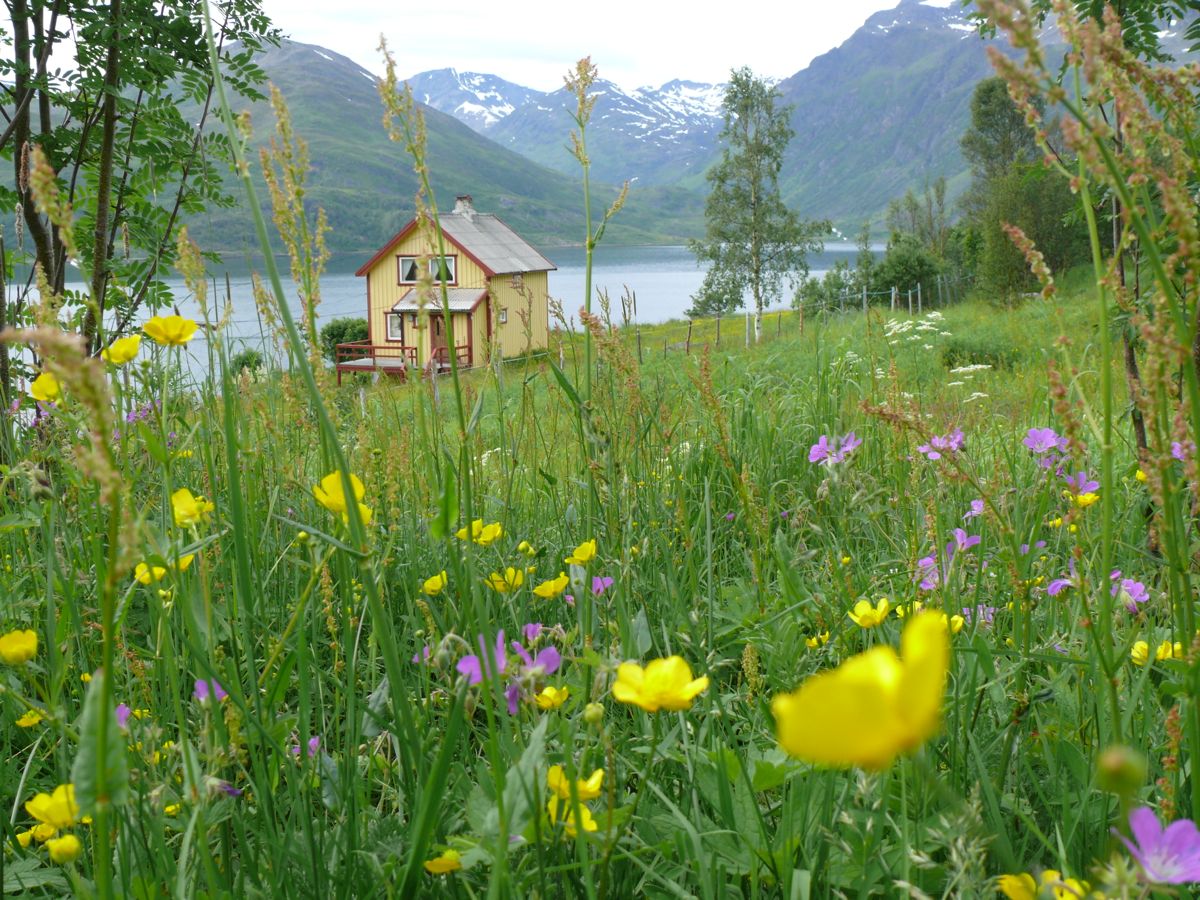 Jokelfjord