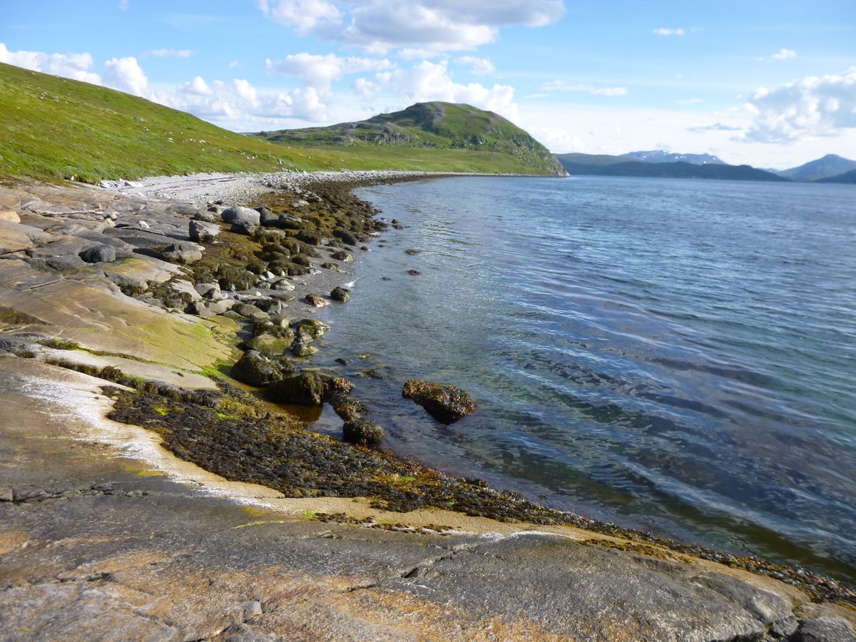 Environ de Brennvik