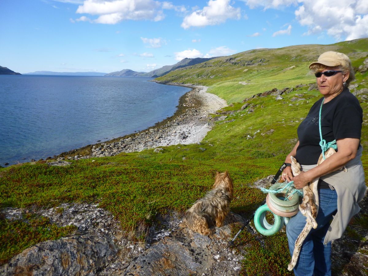 Environ de Brennvik