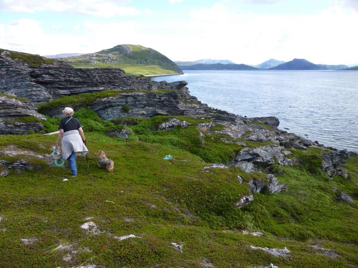 Environ de Brennvik