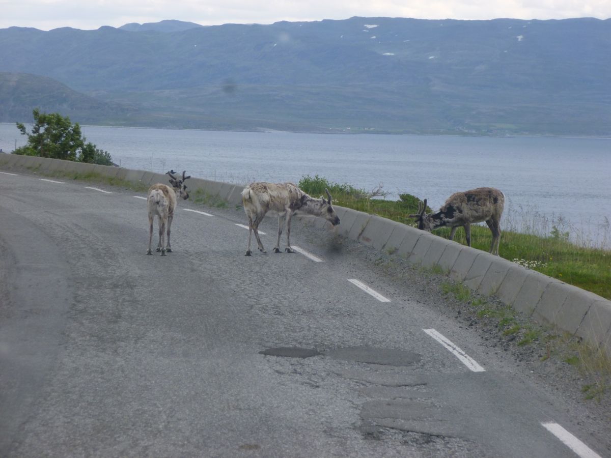 Kvalsundbrua (Hammerfest)