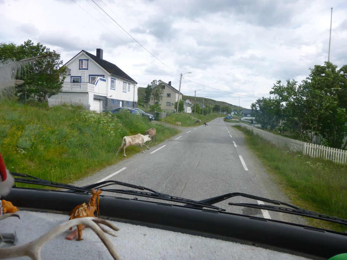 Kvalsundbrua (Hammerfest)