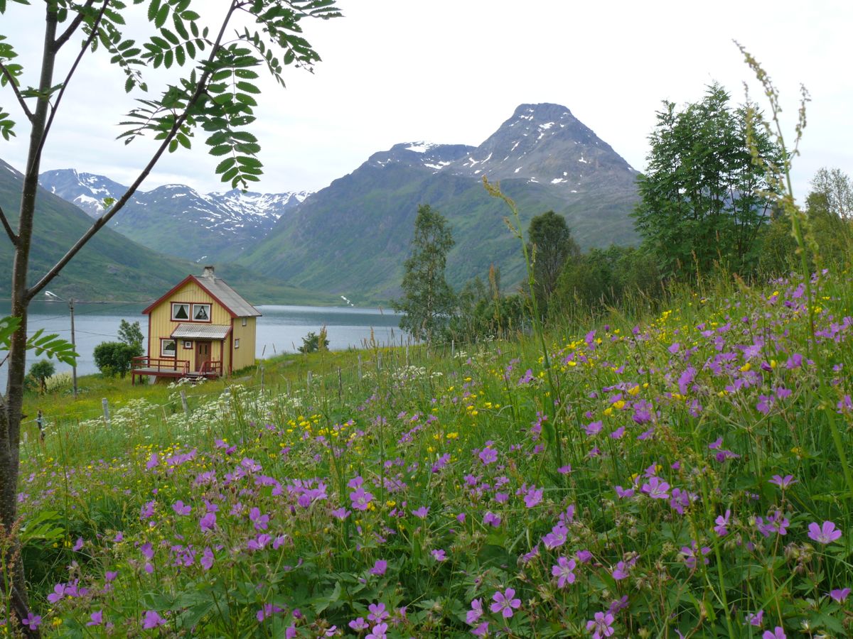 Jokelfjord