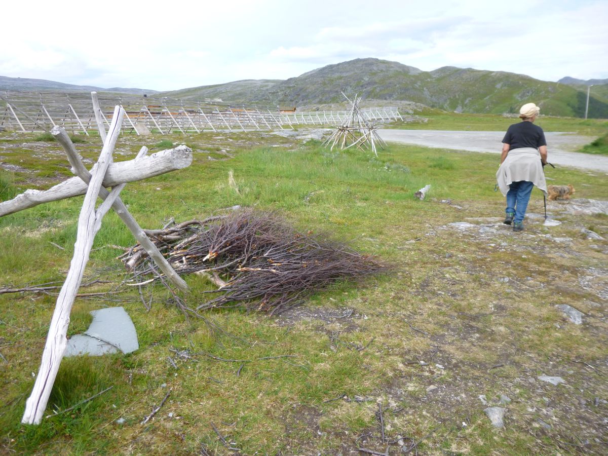 Turistveien Hammerfest