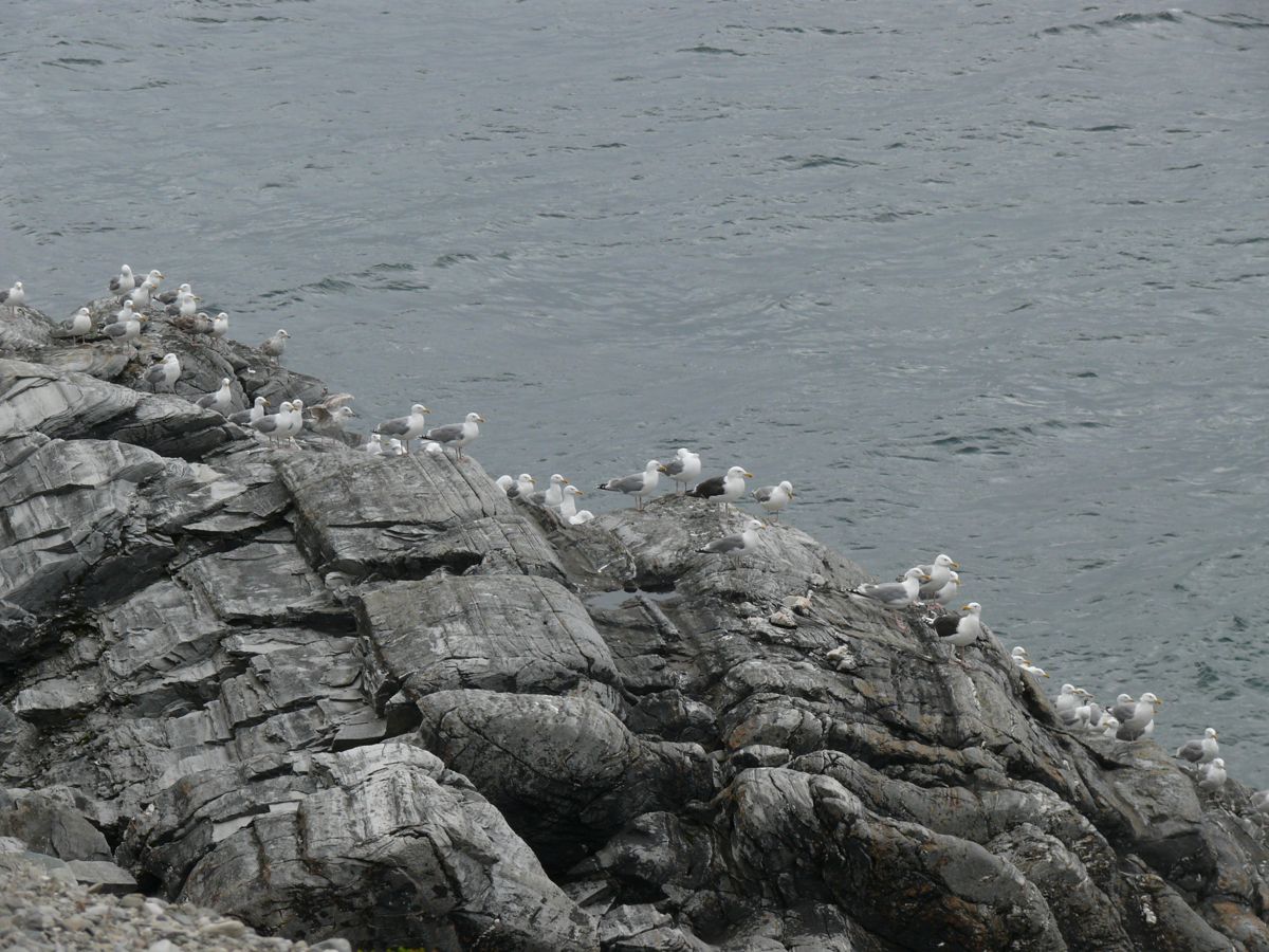 aux environs de Lillefjord