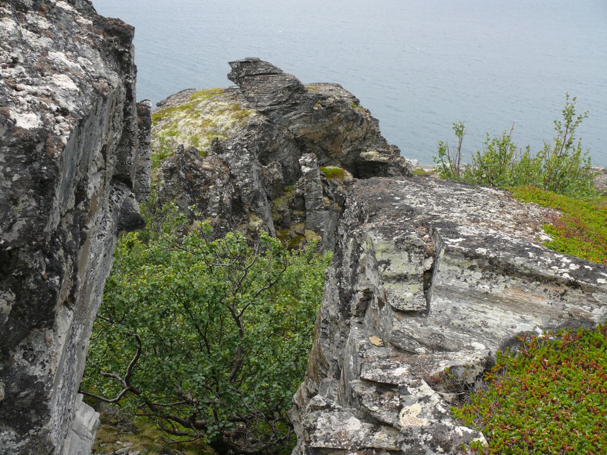 aux environs de Lillefjord