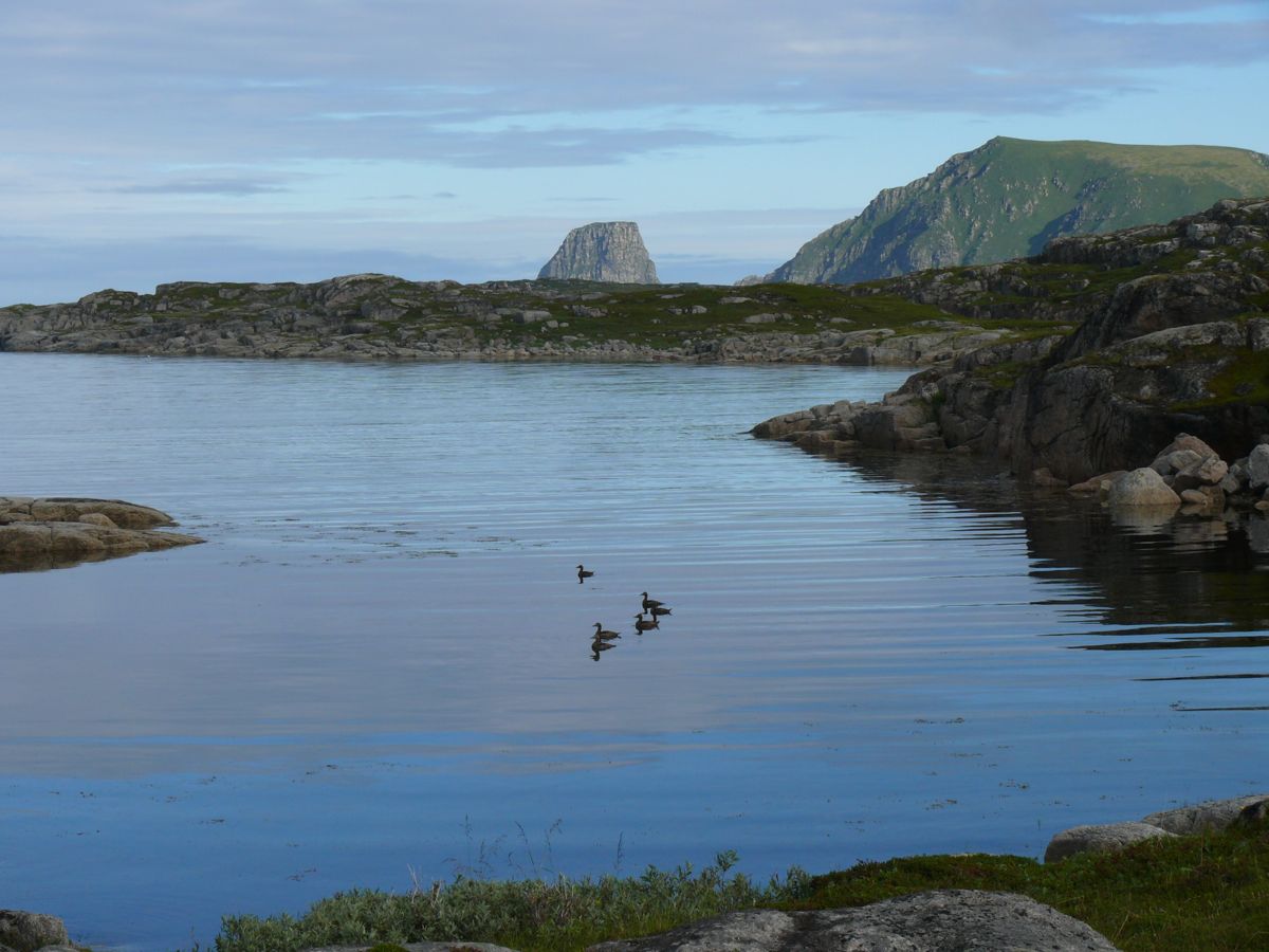 Gjesvær, Nordkapp