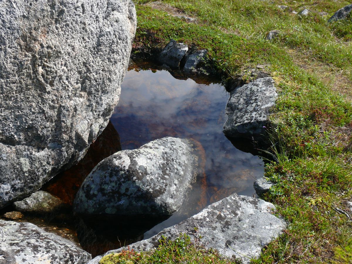 Gjesvær, Nordkapp