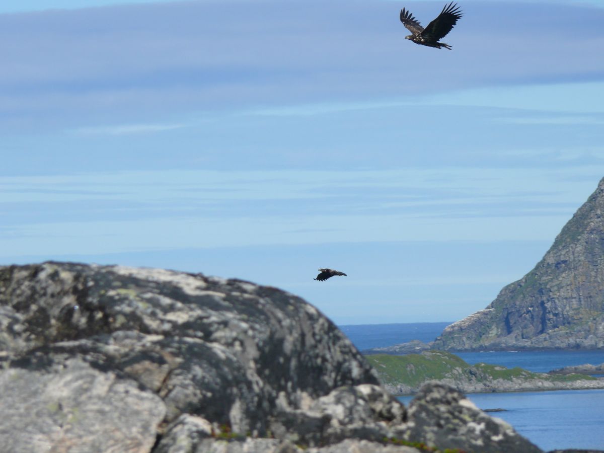 Gjesvær, Nordkapp