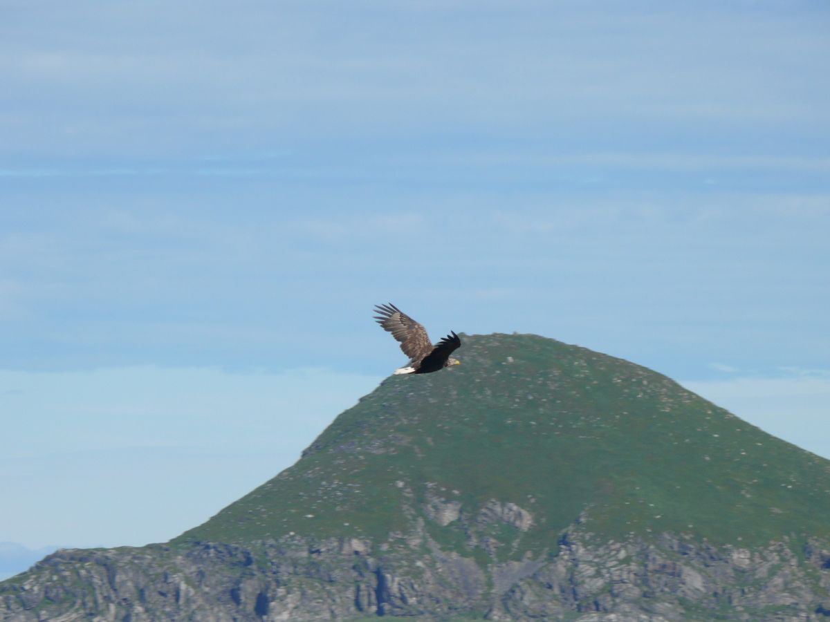 Gjesvær, Nordkapp