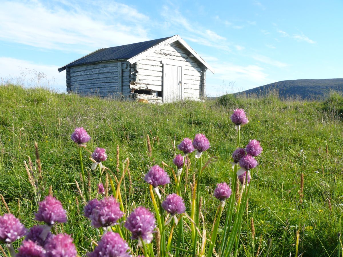 le Phare de Slettnes : la cabane Russe