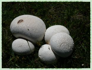 P1040721